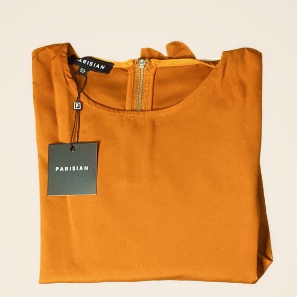 Pleated Detail Ruffle Sleeve Top-Colour-Rust - Picture 2 of 6